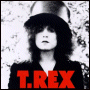 T.REX slider album cover