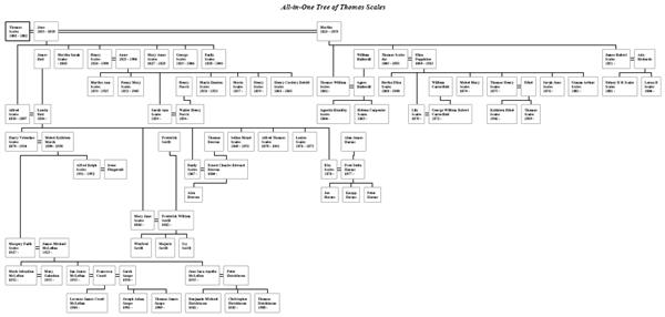 scales family tree