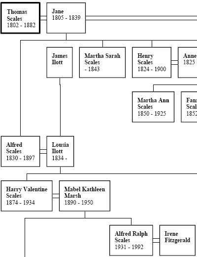 extract from scales family tree 1
